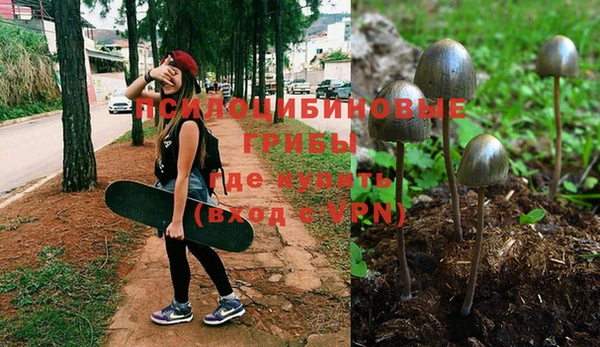 винт Куйбышев