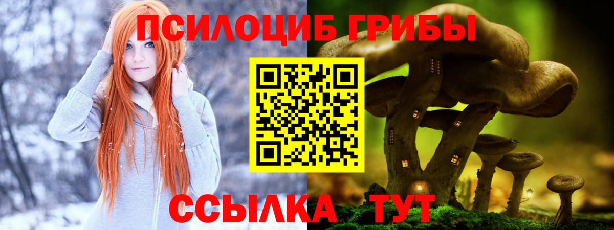 Псилоцибиновые грибы MAGIC MUSHROOMS  Псилоцибиновые грибы Psilocybine cubensis  Моршанск  Вход с VPN 