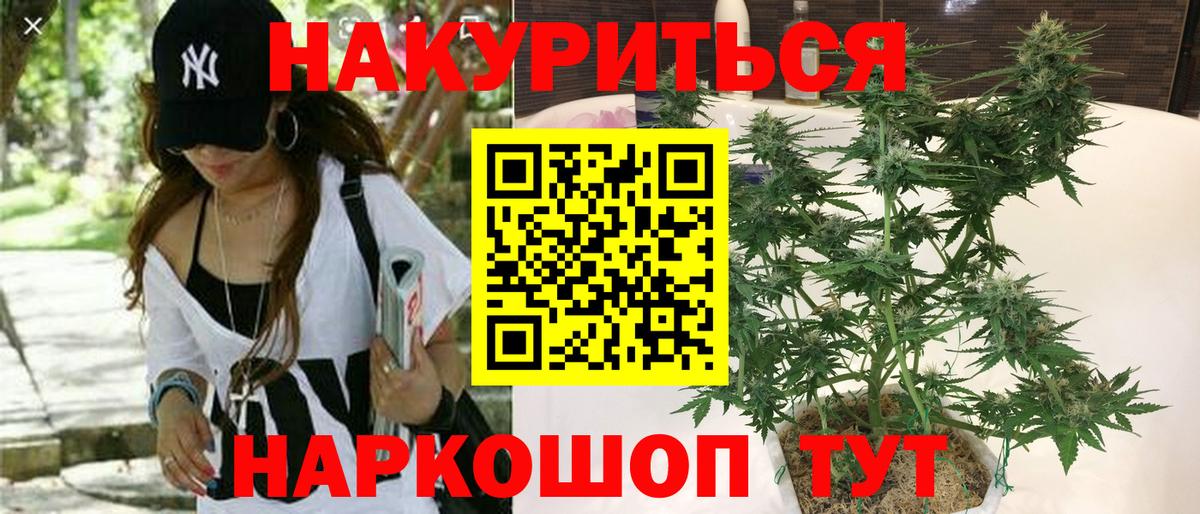 МАРИХУАНА марихуана  Шишки марихуана Ganja  Вход с VPN  МАРИХУАНА VHQ  Бошки Шишки индика  Моршанск 